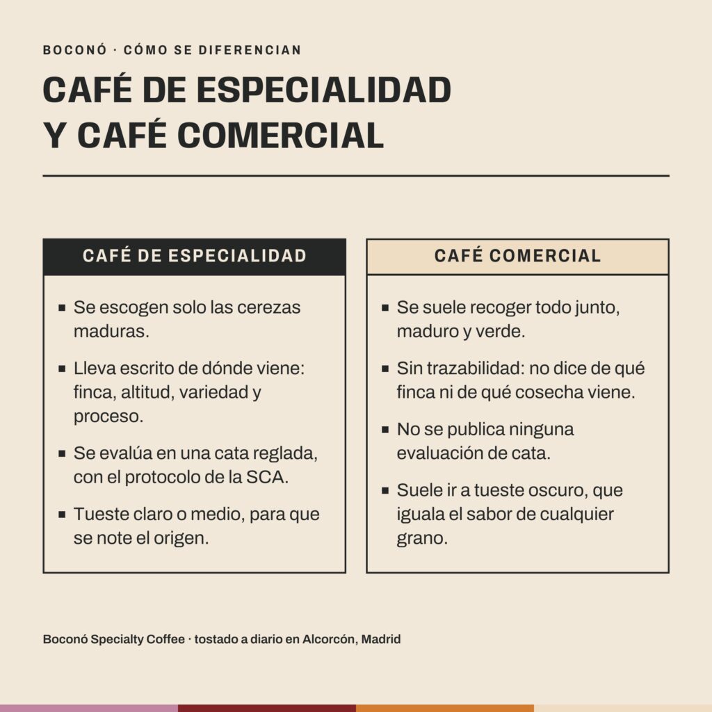 Lámina comparativa en dos columnas: a la izquierda, café de especialidad, con solo cerezas maduras, finca y proceso escritos, evaluación en una cata reglada con el protocolo de la SCA y tueste claro o medio; a la derecha, café comercial, con recogida sin seleccionar, sin trazabilidad, sin evaluación de cata publicada y tueste oscuro.