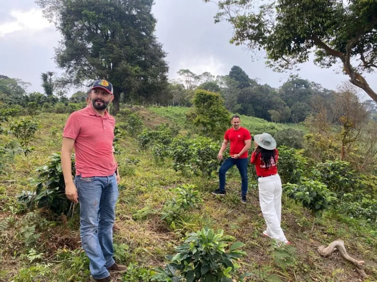 Samer Bou Hamdan entre los cafetos jóvenes de su finca La Neblina, en Zea (Mérida, Venezuela), con Carlos Núñez y Fabiana Contreras al fondo