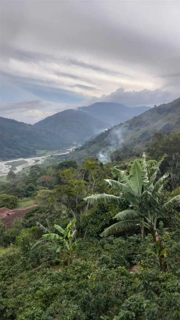 Valle de Boconó cubierto de niebla, en los Andes de Trujillo (Venezuela): la tierra que da nombre a Boconó Specialty Coffee