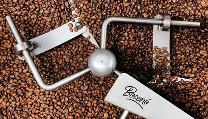 Granos de café recién tostados enfriándose en el tostador de Boconó