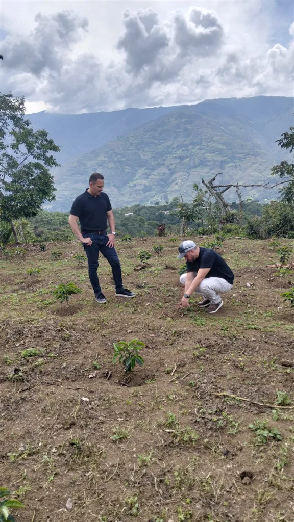 El caficultor Andrés Román García, agachado junto a un cafeto recién sembrado en su finca nueva de Boconó (Trujillo, Venezuela), con Carlos Núñez, de Boconó, y las montañas al fondo
