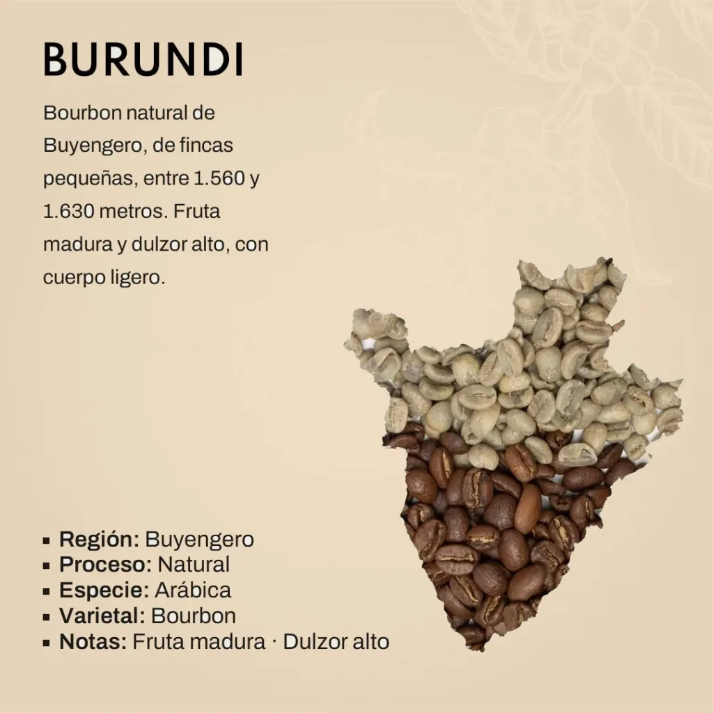 Lámina del lote de Burundi: el mapa del país formado por granos de café, con los datos del lote: Buyengero, proceso natural, variedad Bourbon, entre 1.560 y 1.630 metros, con notas de fruta madura y dulzor alto.