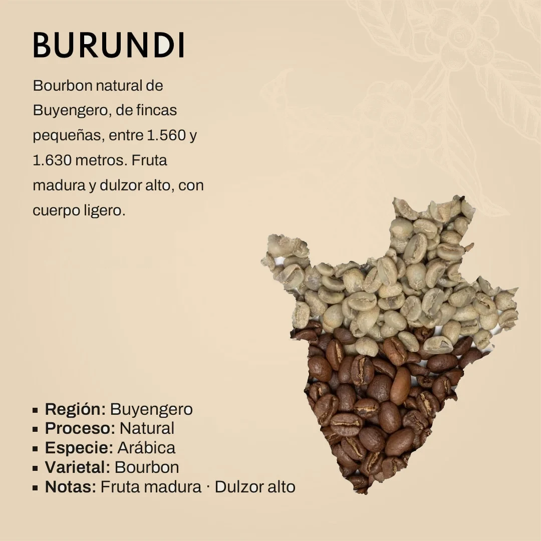 Lámina del lote de Burundi: el mapa del país formado por granos de café, con los datos del lote: Buyengero, proceso natural, variedad Bourbon, entre 1.560 y 1.630 metros, con notas de fruta madura y dulzor alto.