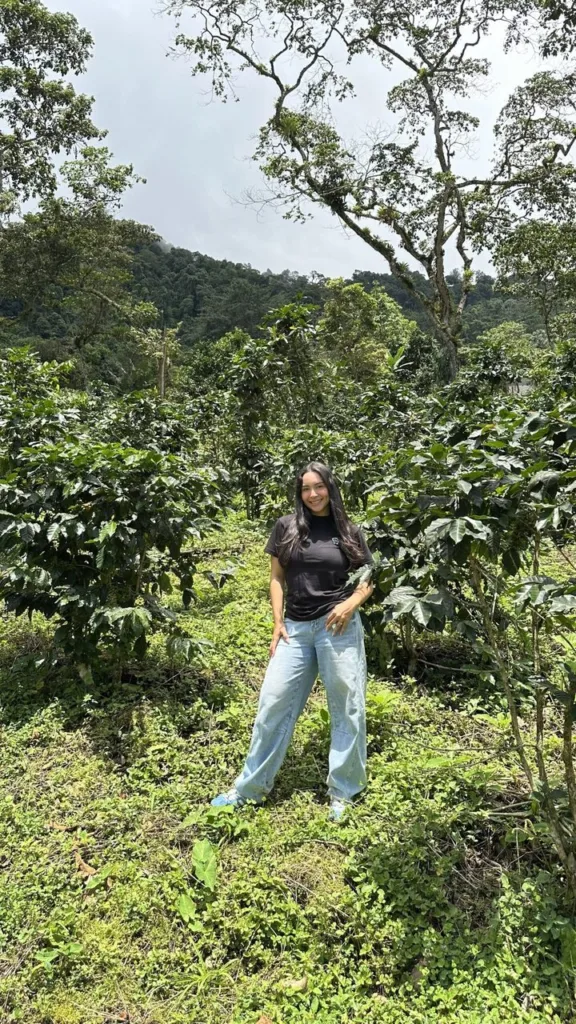 Paola, de Boconó, entre los cafetos de la Hacienda Los Luises, en Bizcocuy (Venezuela)