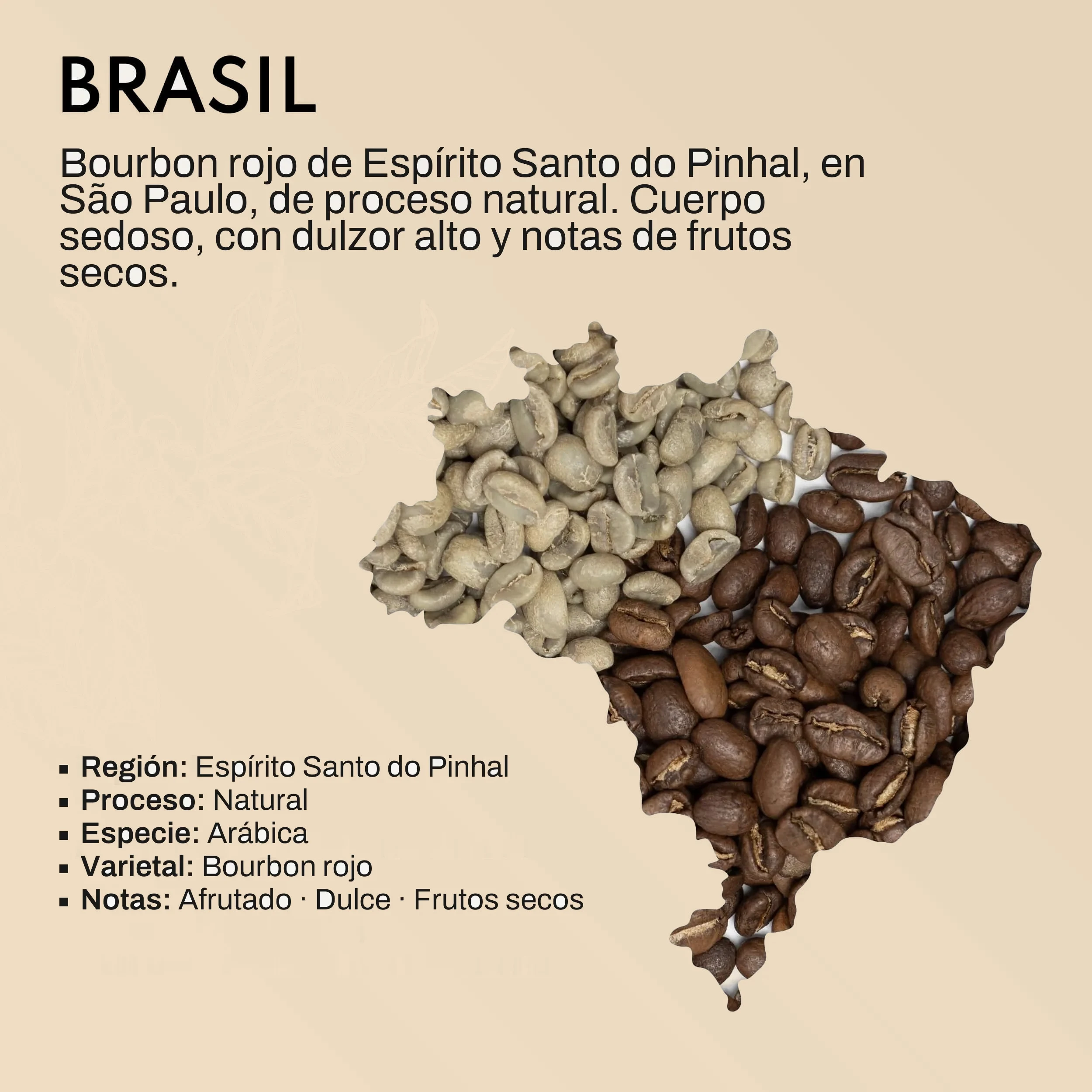 Lámina del lote de Brasil: el mapa del país formado por granos de café verdes y tostados, con los datos del lote: Espírito Santo do Pinhal, proceso natural, variedad Bourbon rojo y notas afrutadas, dulces y de frutos secos.